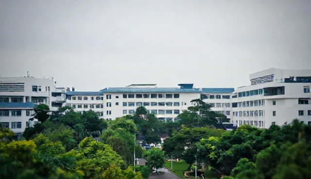 软件：信息系统集成的使用与维护建议